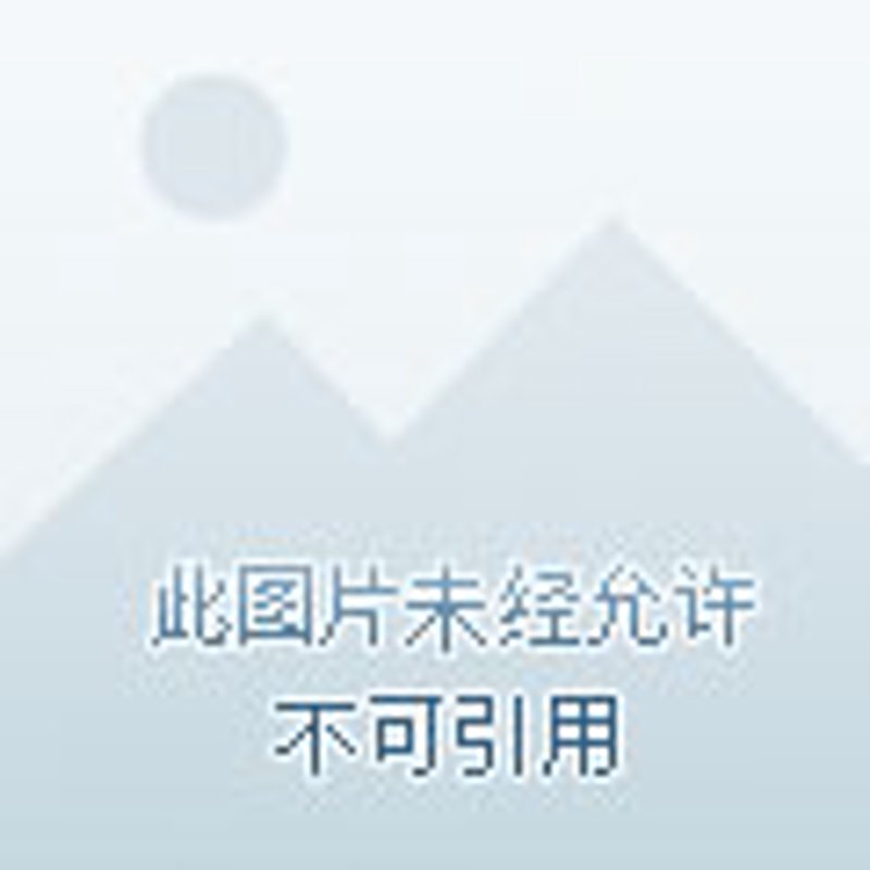 系统集成:构建数字化转型桥梁